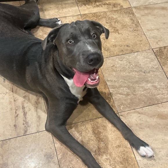 ALL WOMEN’S ITEMS 5/$15!!!Happy Shopping!!
BUNDLE 5 ITEMS (clothing)TO GET DEAL! - Picture 6 of 7